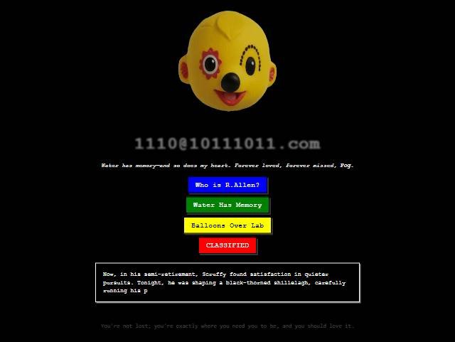 The 10111011 website